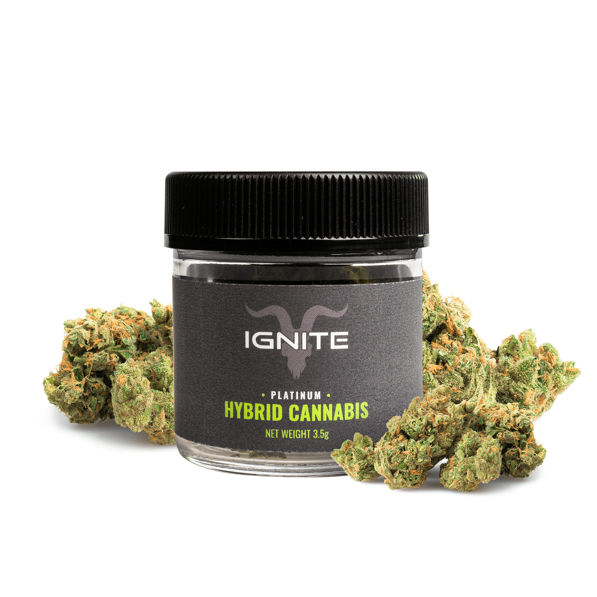 ignite-hybrid-cannabis-thc